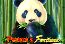 PANDAS FORTUNE