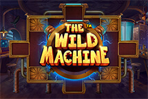 THE WILD MACHIN
