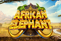 AFRICAN ELEPHAN