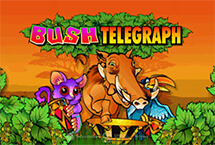 BUSH TELEGRAPH